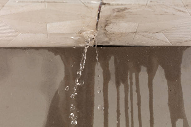 Professional Structural Drying technician working in Overland Park, KS